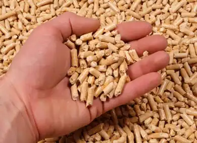 Biomass Pellet Fuel Quality Issues and Solutions