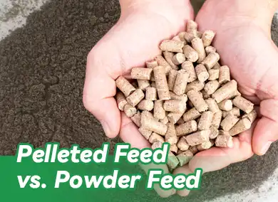 Pelleted Feed vs. Powder Feed: Which is Better?