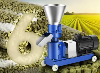 6 Things to Know Before Using a Feed Pellet Machine