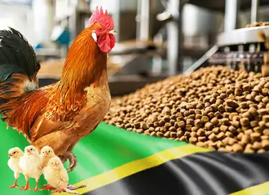 2025 Tanzania: Start a Low-Cost, High-Return Poultry Feed Mill
