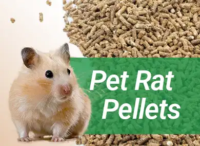 Build Your Rat Pellet Business: A Practical Guide