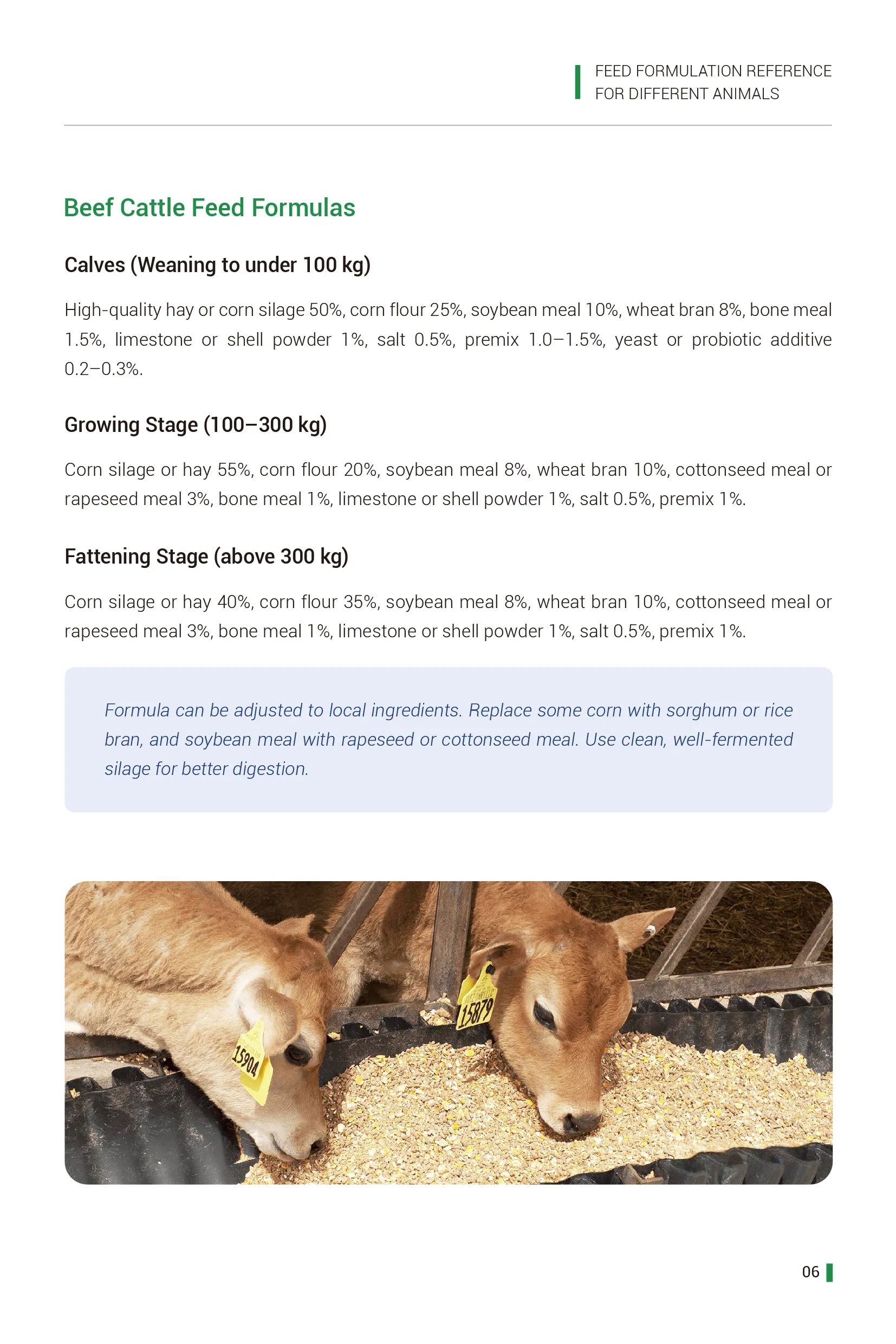 beef cattle feed formula