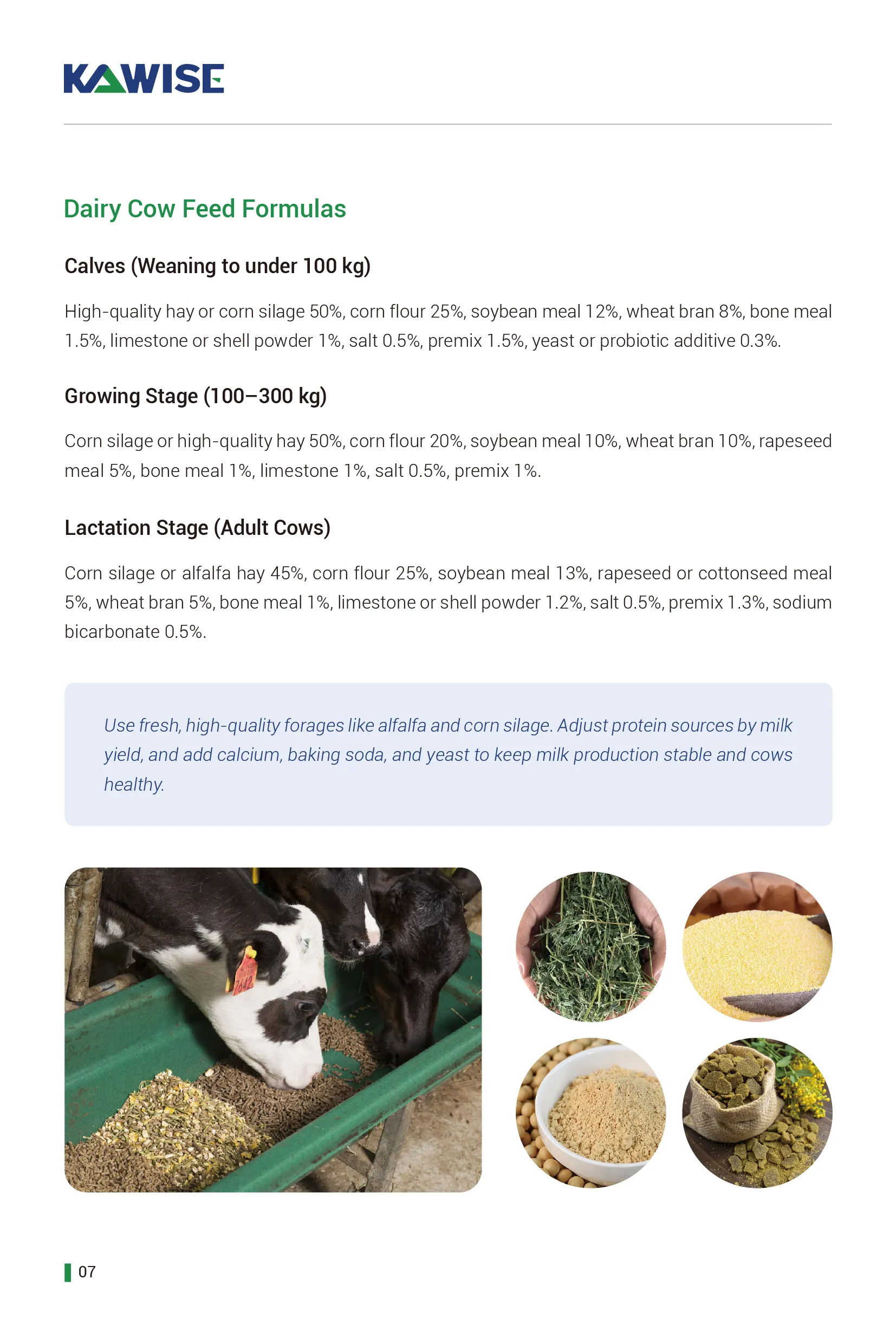 dairy cattle feed formula