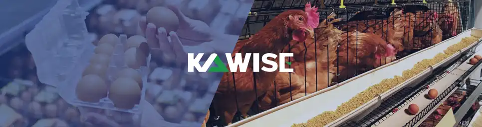 chicken farming in india kawise