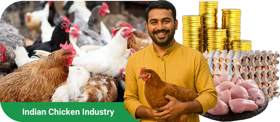 Indian chicken industry