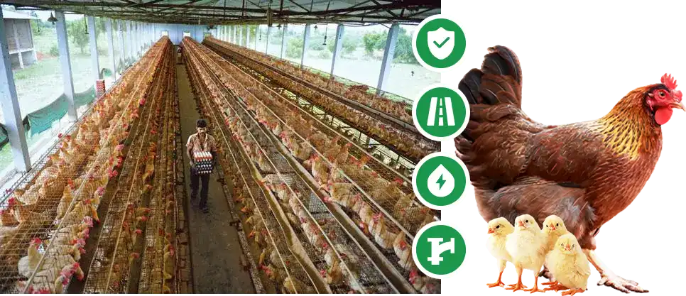suitable farming grounds