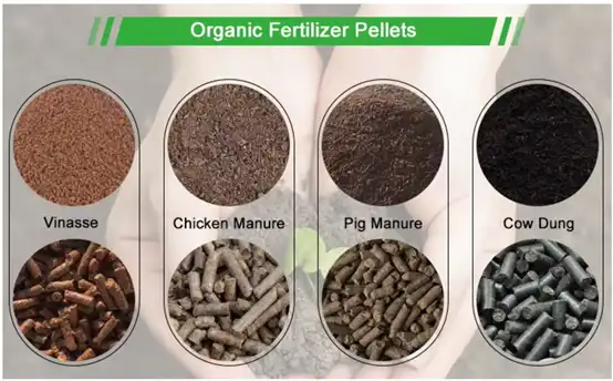 animal manure into pellets