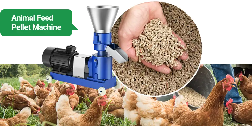 balanced diet pellets