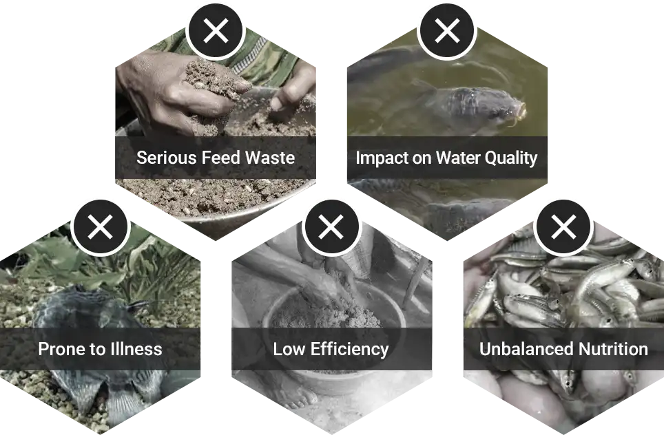 bottlenecks in the aquatic feed industry
