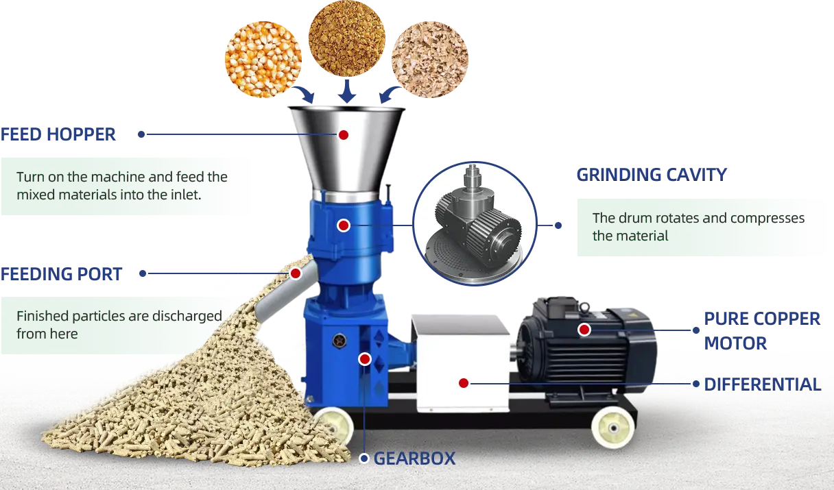 components and principles of feed pellet machine