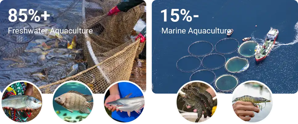 current  status of aquaculture development in india