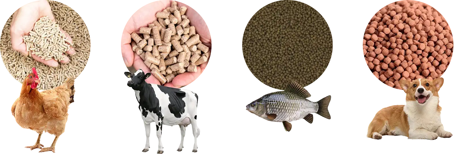 different animal pellet