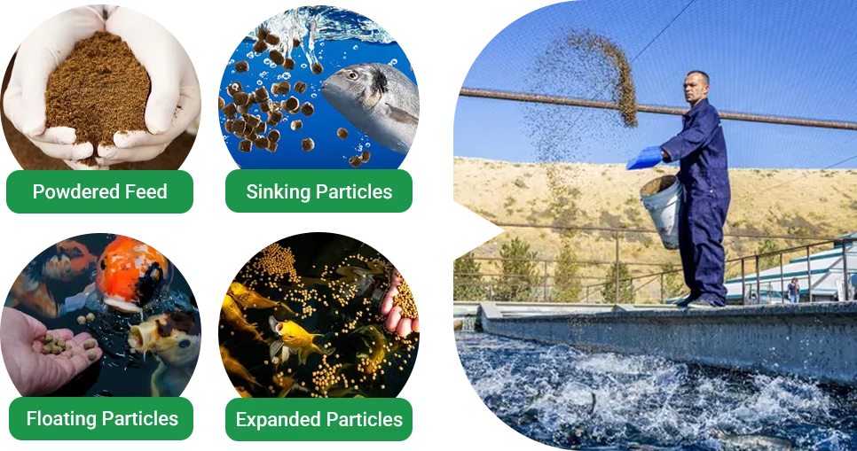 diverse feeds for tilapia