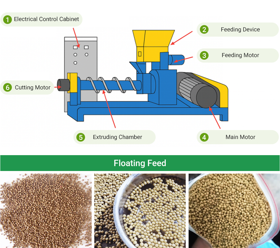 extruder for floating feed