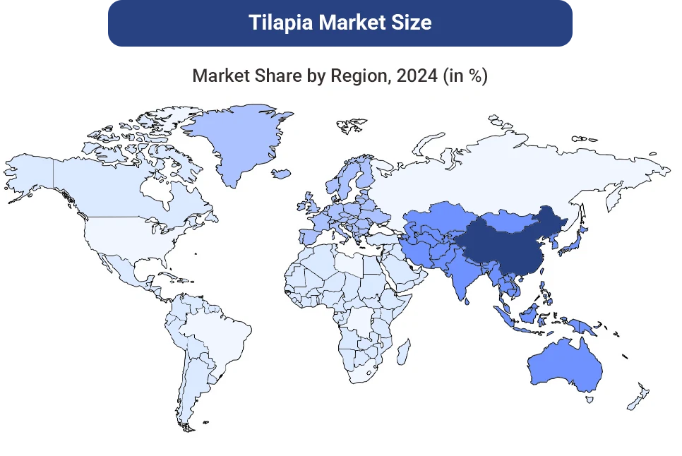 global tilapia market size
