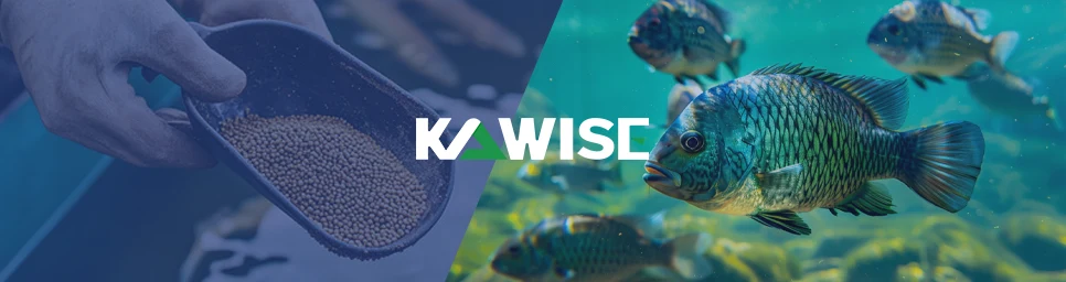 make tilapia feed with kawise pellet machine