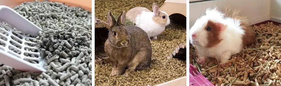 paper pellets as pet litter