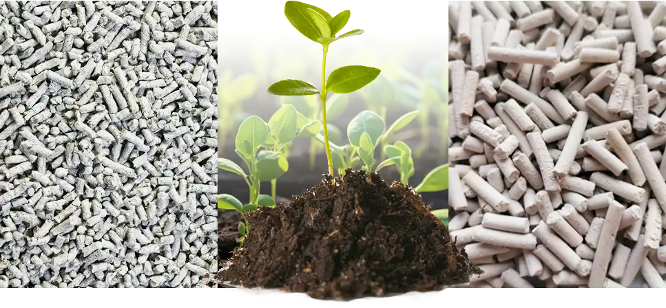 paper pellets as water absorbing medium for horticulture
