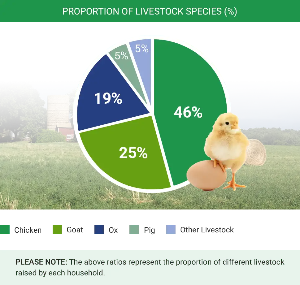 poultry farming in tanzania