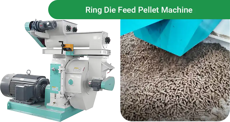 ring die pellet machine processing rat pellets