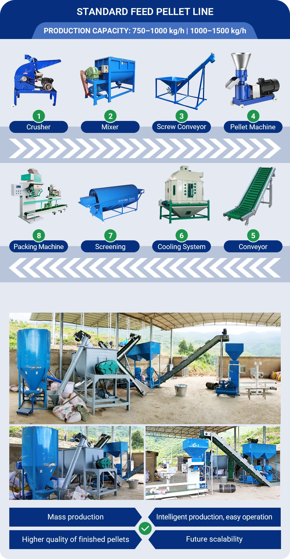standard feed pellet line