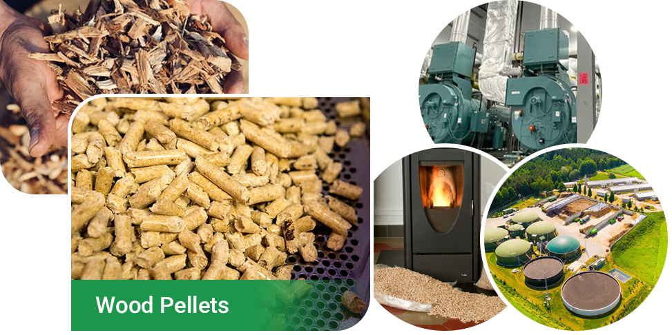 use sawdust to make pellets for use